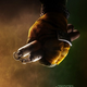 Illustration for article titled Teenage Mutant Ninja Turtle Posters